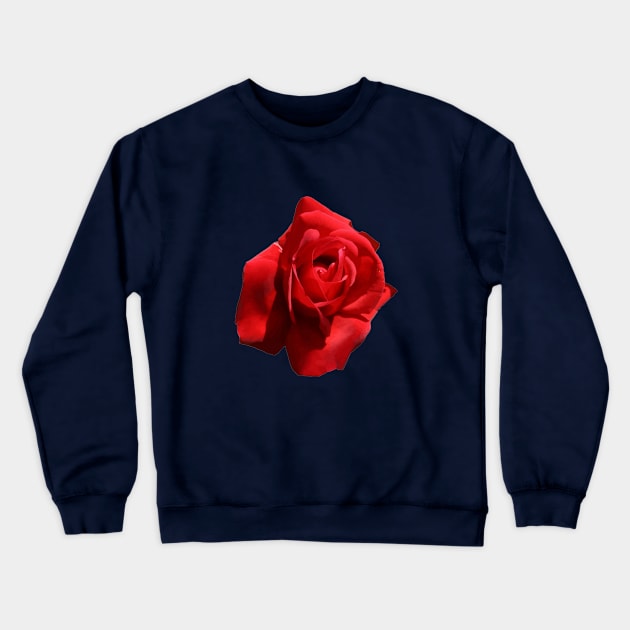 The Perfect Red Rose Photograph Cut Out Crewneck Sweatshirt by taiche